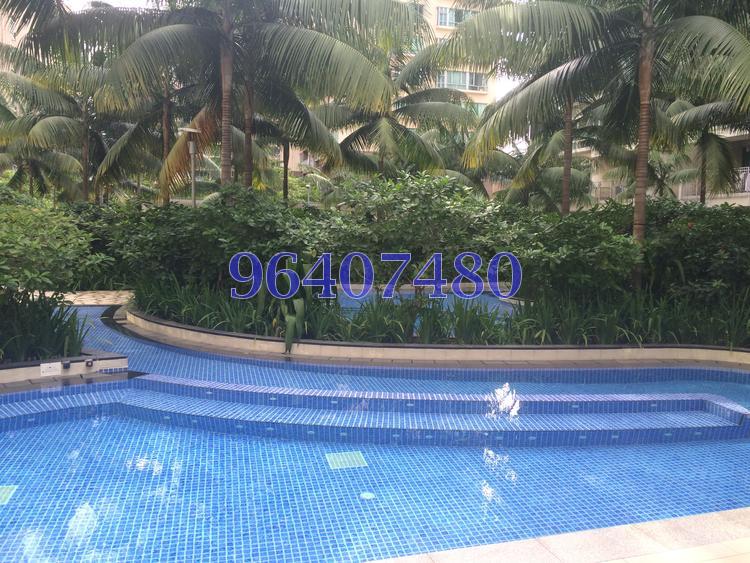 Caspian (D22), Condominium #104627432